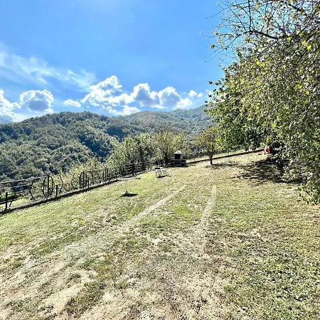 Lejlighed Apartamento Con Freewifi Y Vistas A La Montana En Asturias
